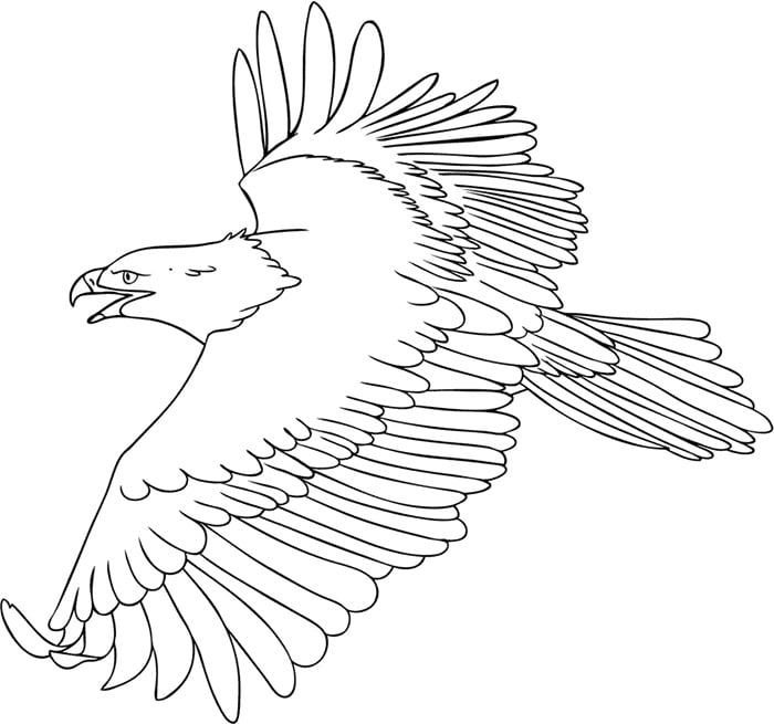 Eagle