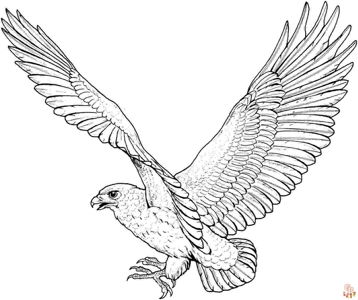 Eagle coloring pages