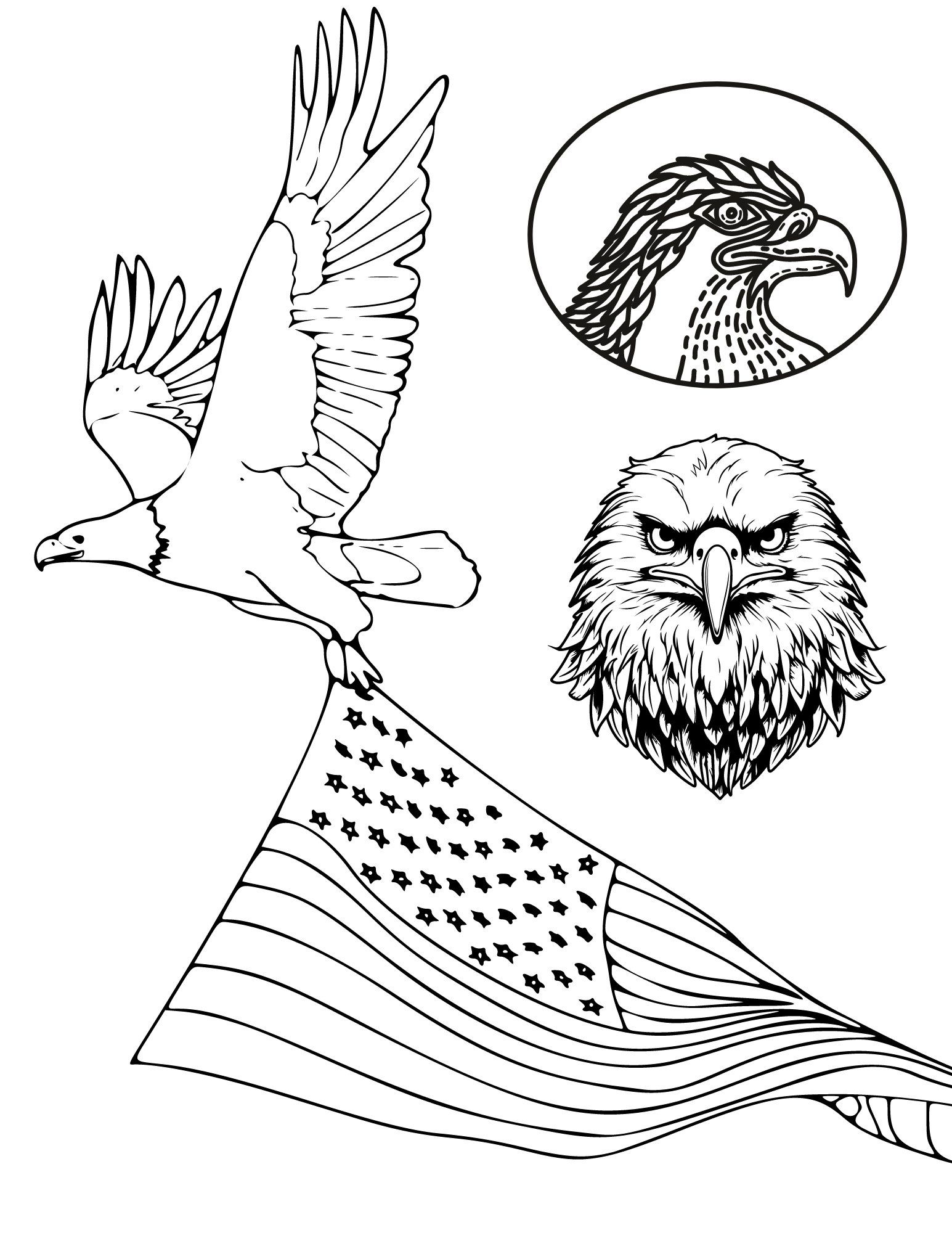 Free bald eagle coloring pages for kids and adults