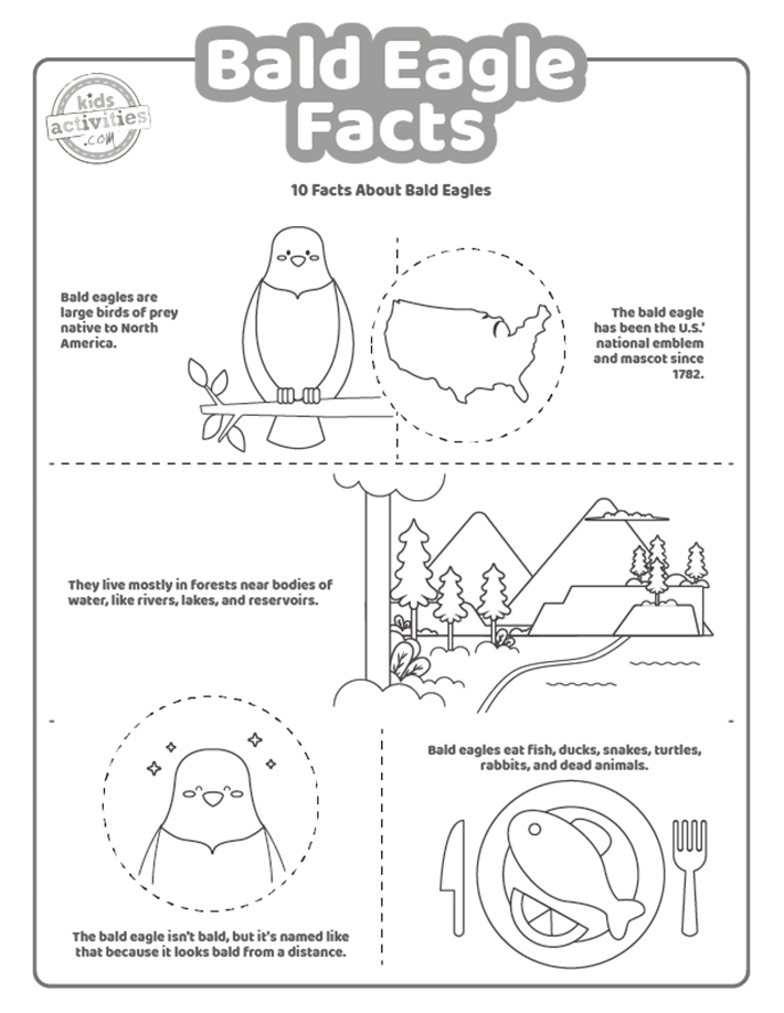 Fun bald eagle facts for kids to print and learn kids activities blog