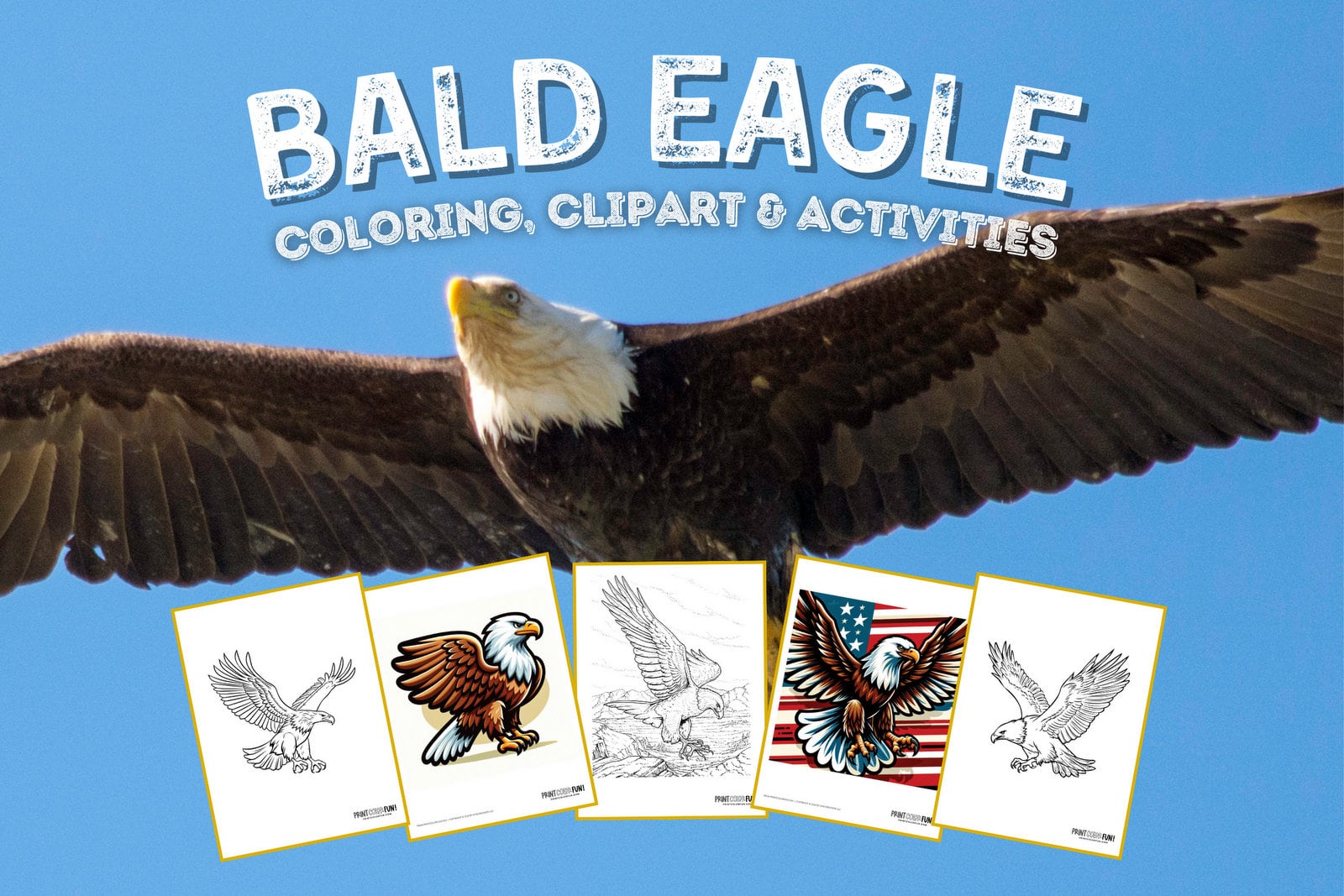 Bald eagle coloring pages clipart at