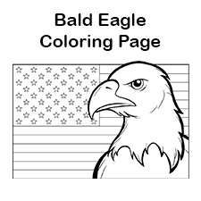 Bald eagle coloring page for kids patriotic coloring pages â tims printables