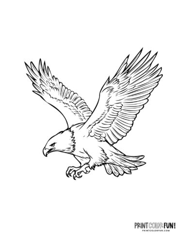 Bald eagle coloring pages clipart at