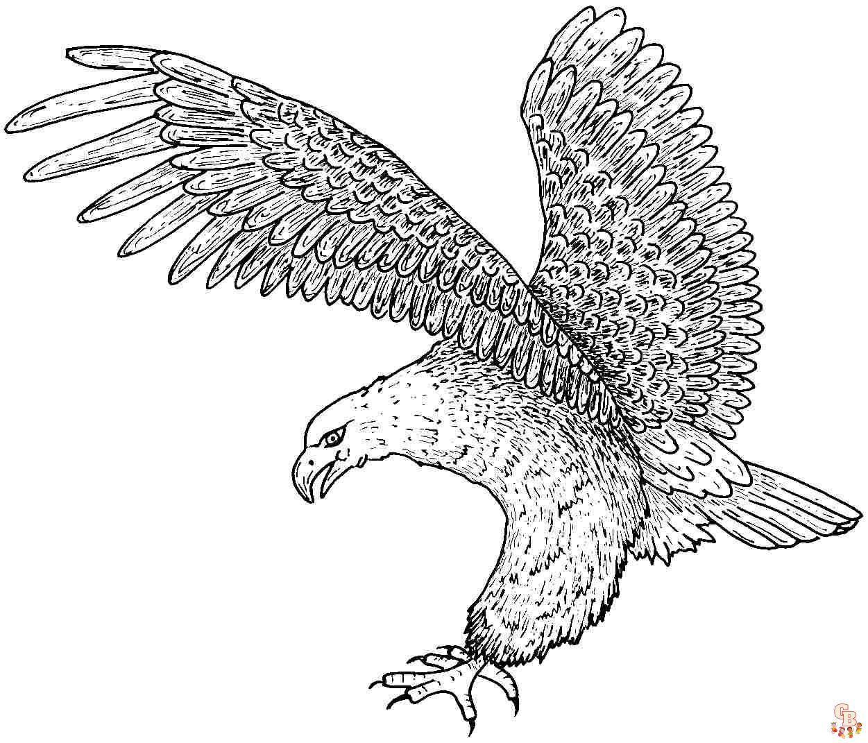 Eagle coloring pages