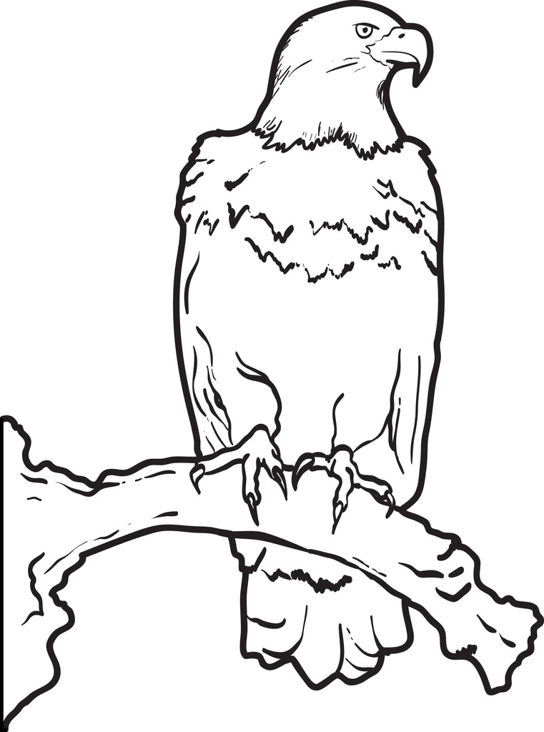 Printable bald eagle coloring page for kids â