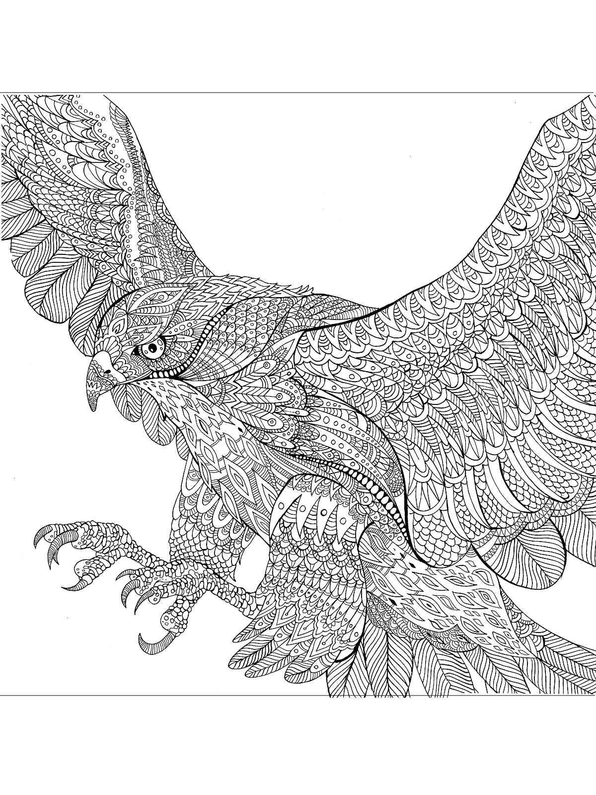 Free printable eagle coloring pages for adults