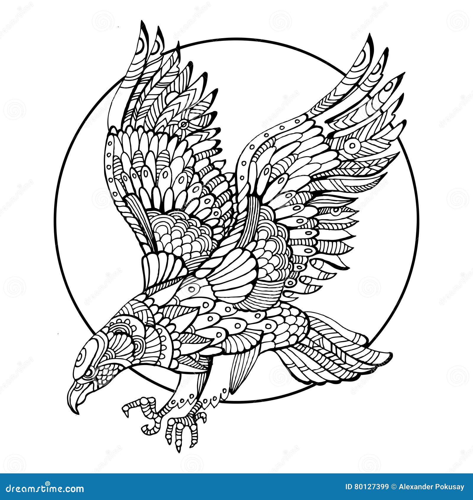 Eagle bird coloring book for adults vector stock vector