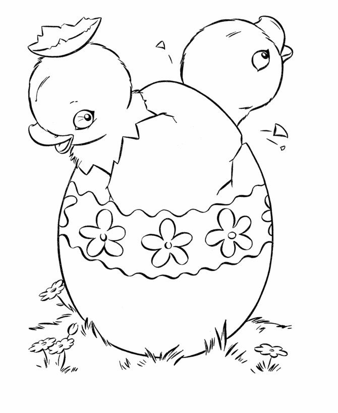 Easter chick coloring pages