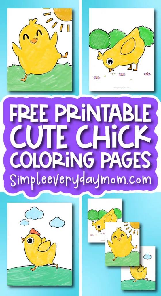 Chick coloring pages for kids free printable