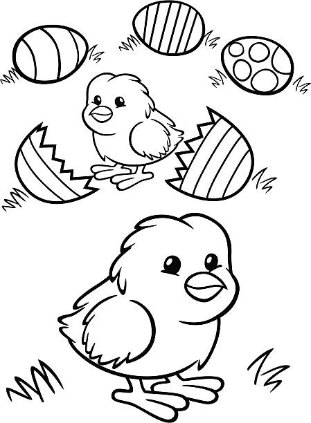 Chick coloring pages stock illustrations royalty