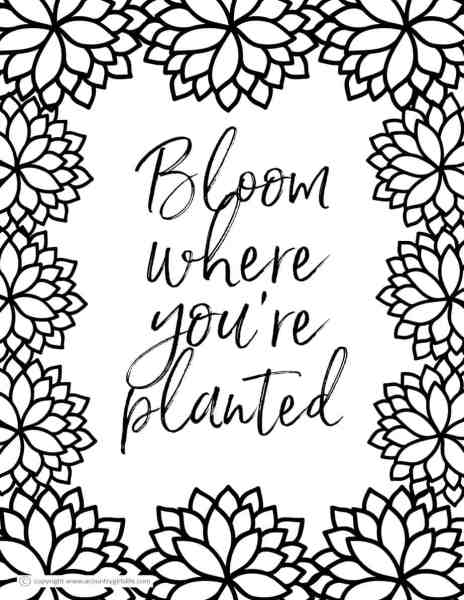 Free printable coloring pages for adults in florals and succulents