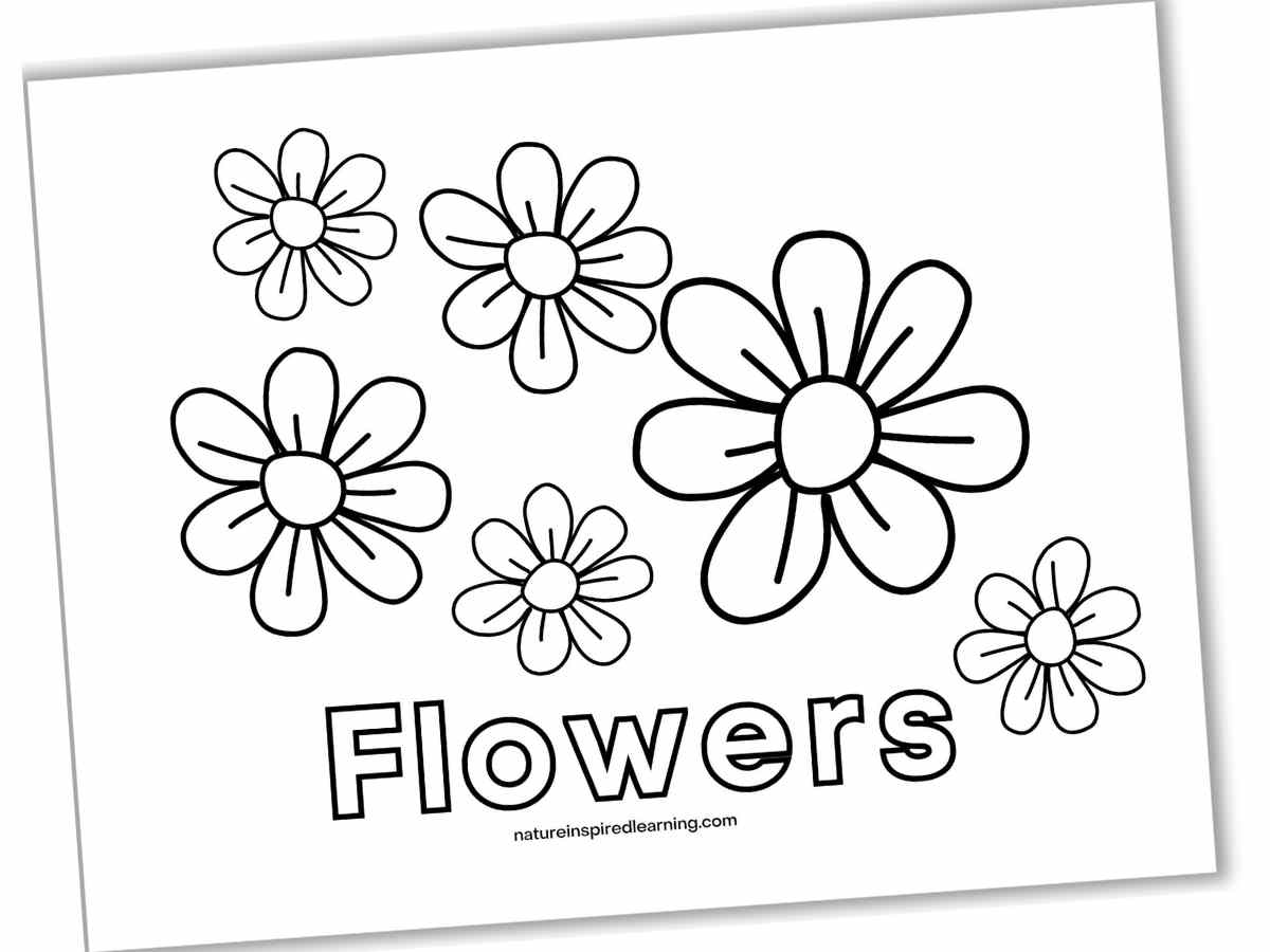 Beautiful flower coloring pages