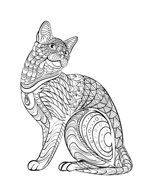 Cat mandala coloring page color pet animals draw drawing paper digital file download adult kids education art project school work