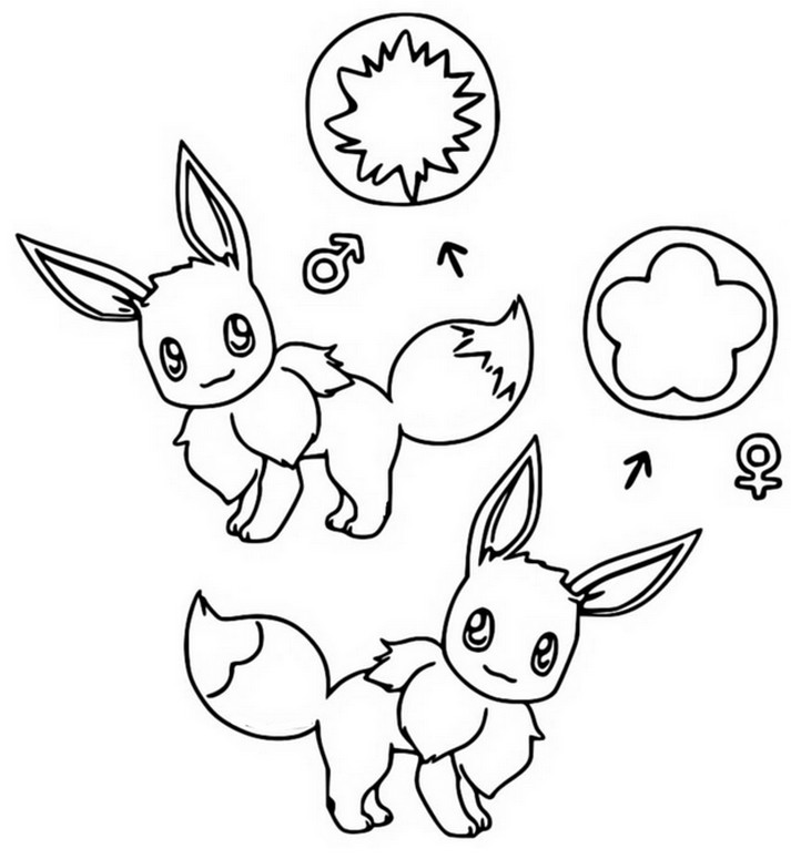 Coloring pages pokãmon eevee