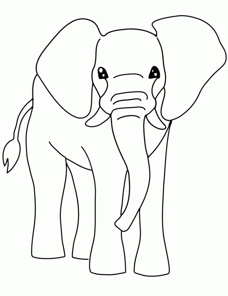 Free printable elephant coloring pages for kids elephant coloring page animal coloring pages coloring pages