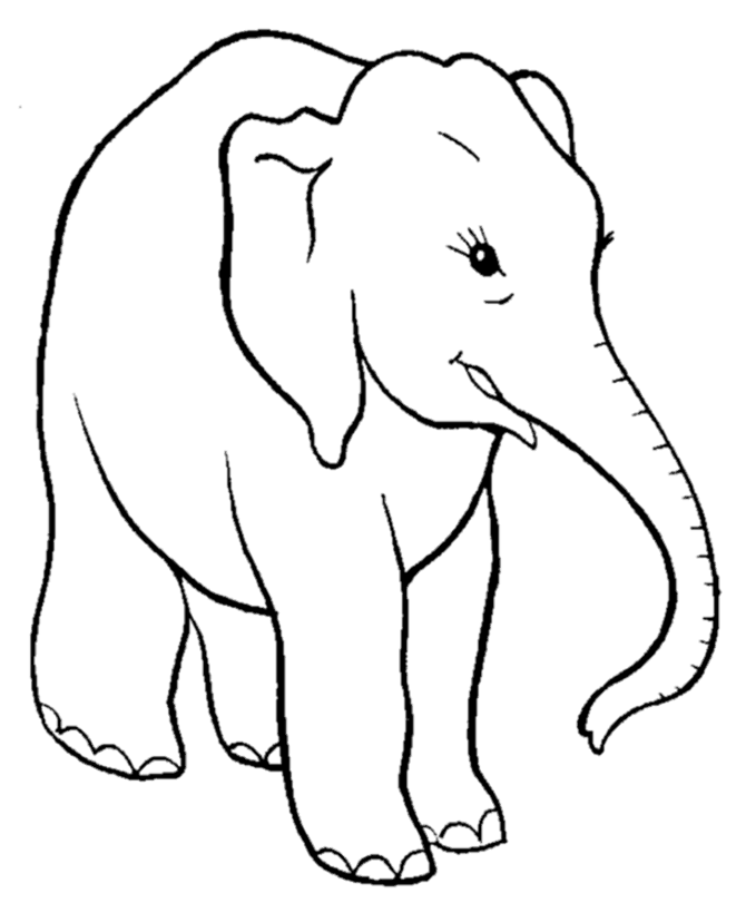 Coloring pages elephant coloring pages