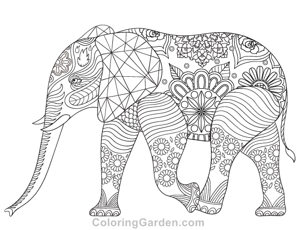 Elephant adult coloring page