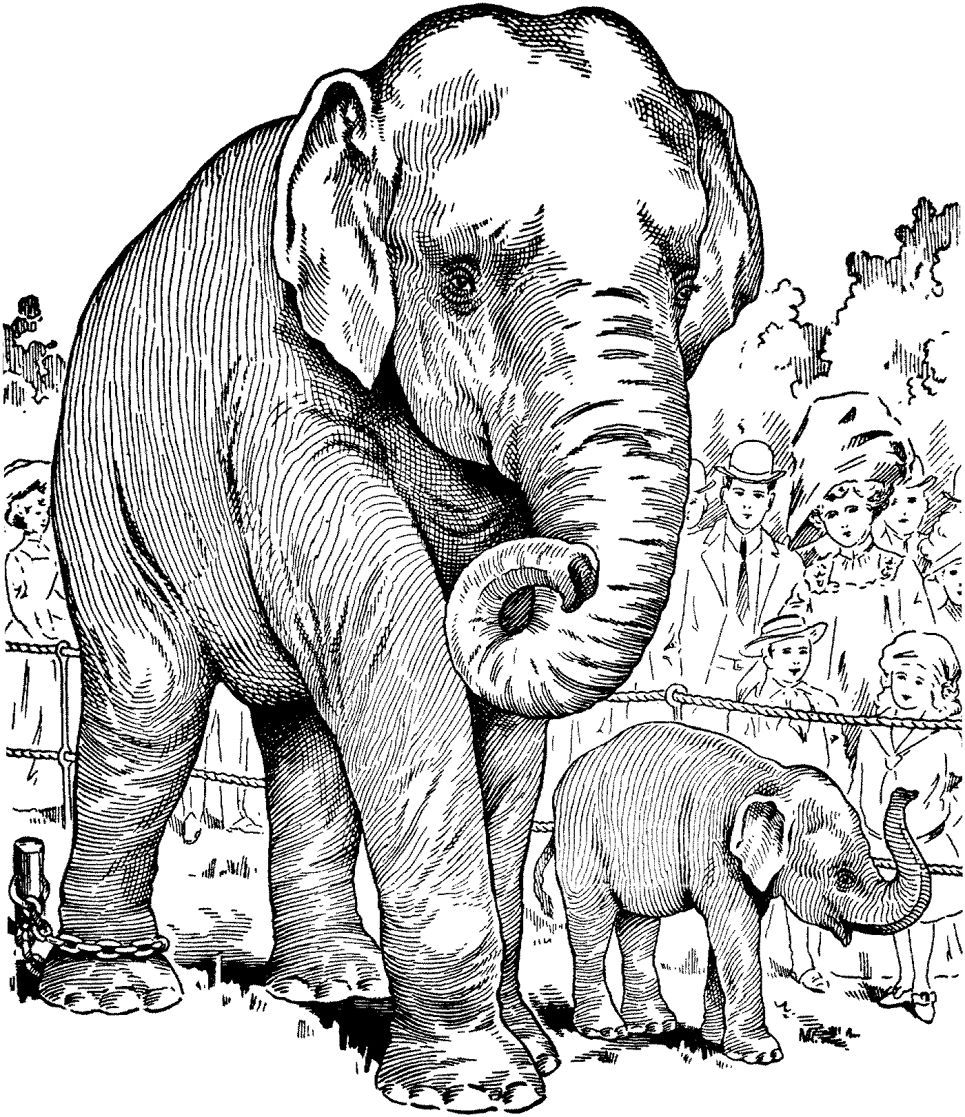 Free elephant coloring pages