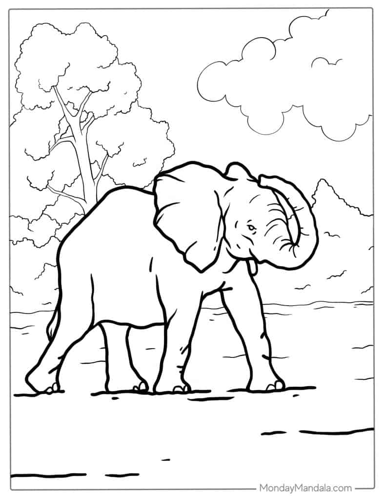 Elephant coloring pages free pdf printables