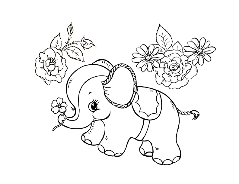 Elephant coloring pages