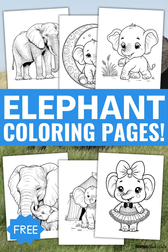 Free printable elephant coloring pages