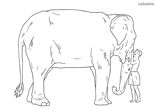 Elephants coloring pages free printable elephant coloring sheets