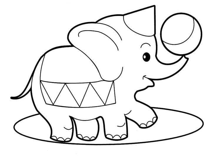 Elephant