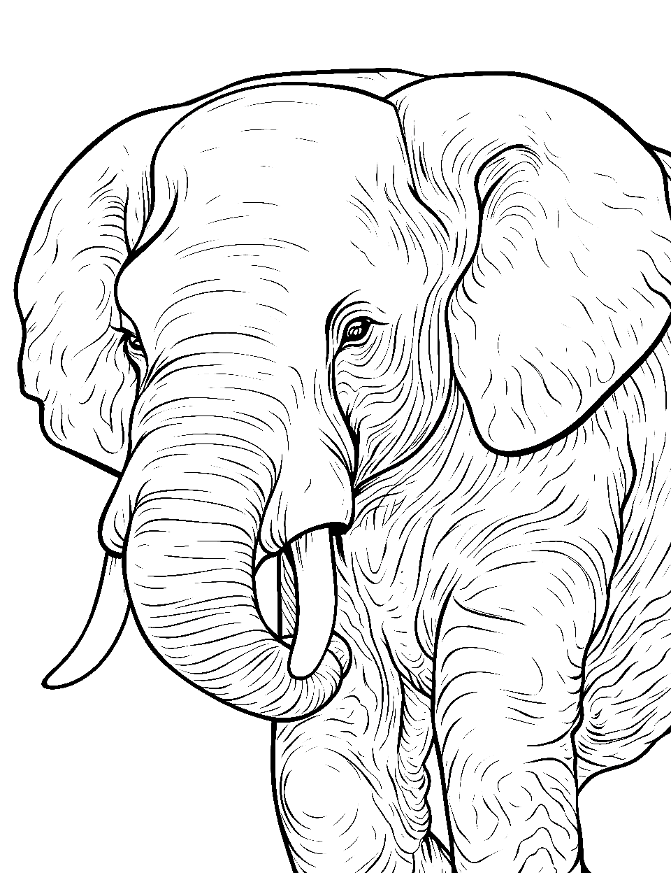 Elephant coloring pages free printable sheets