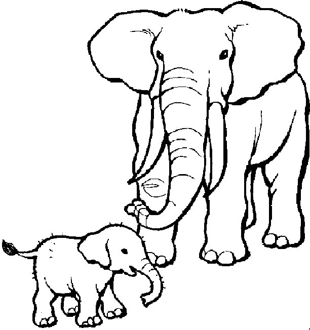 Free printable elephant coloring pages for kids elephant coloring page animal coloring pages jungle coloring pages