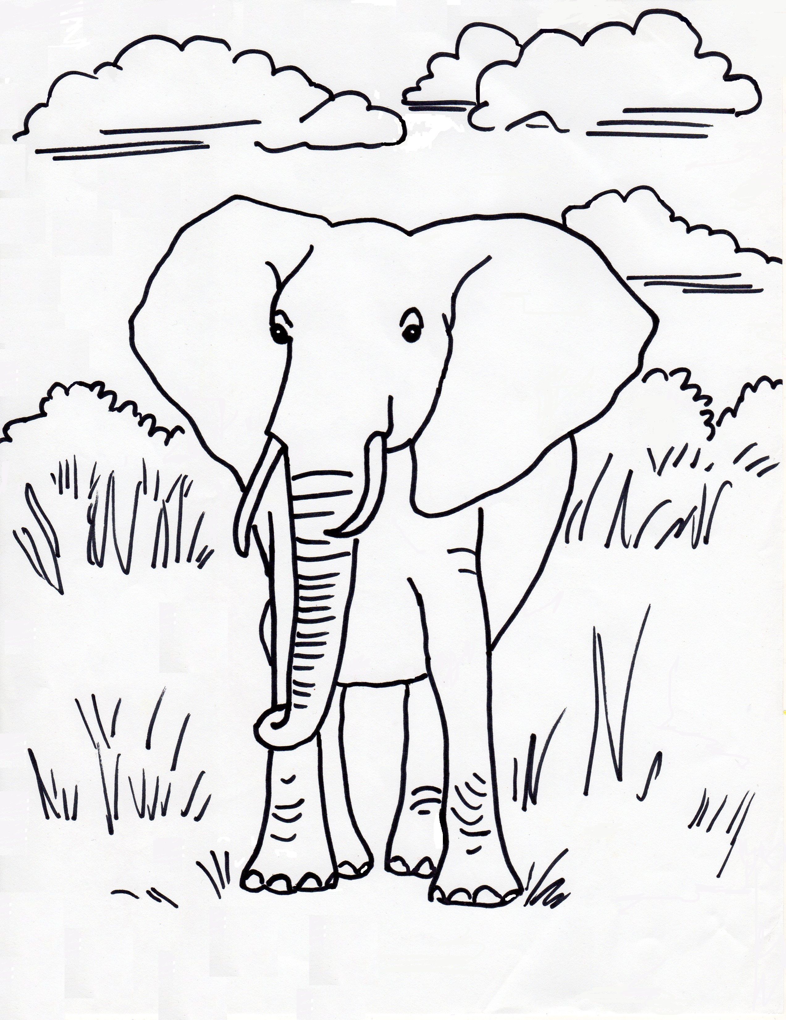 African elephant coloring page