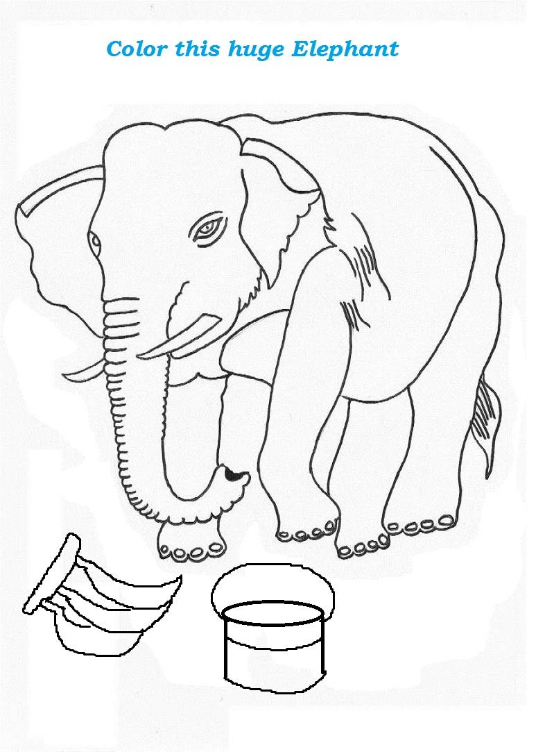 Elephant coloring page for kids