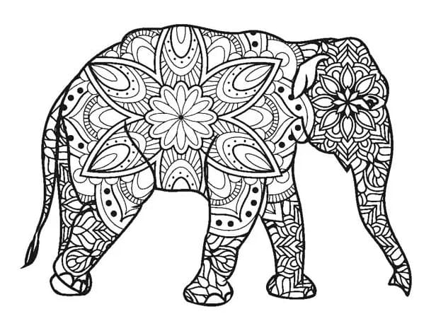 Elephant mandala coloring page