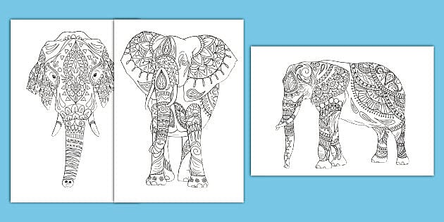 Elephant loring template for kids usa