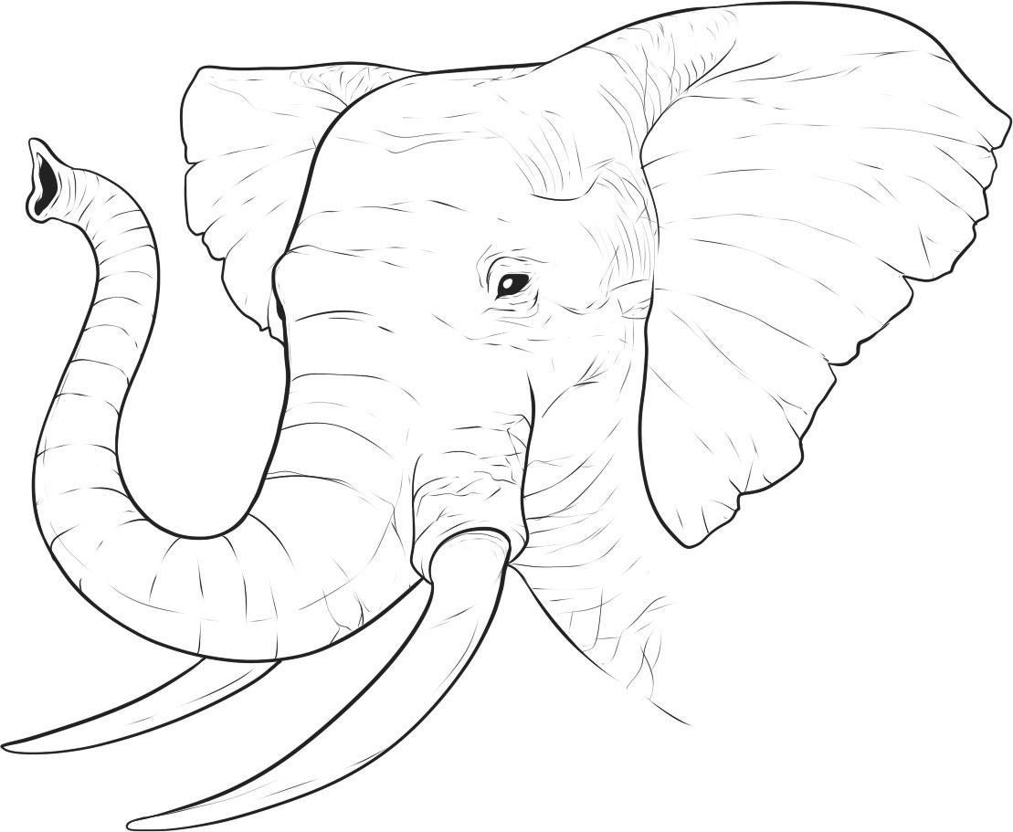 Free printable elephant coloring pages for kids