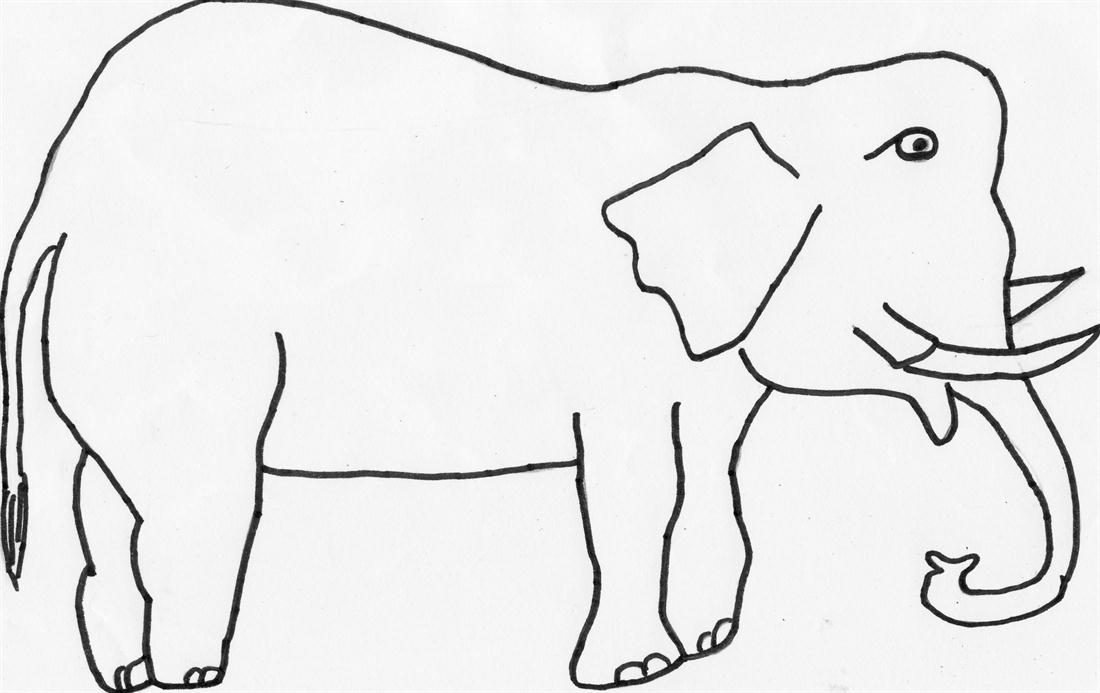 Elephant coloring page