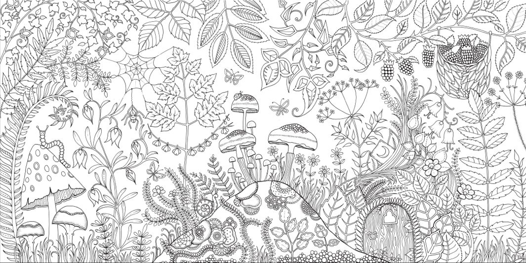 Johanna basford enchanted forest secret garden addictive coloring books for grown