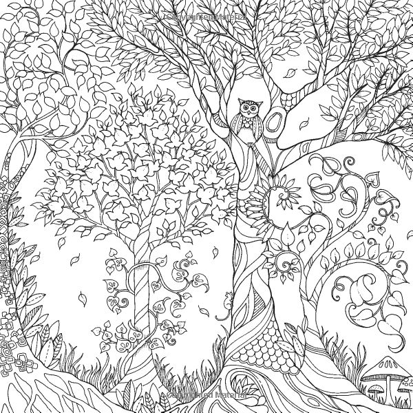 Enchanted forest an inky quest coloring book johanna basford enchanted forest coloring book forest coloring book enchanted forest coloring