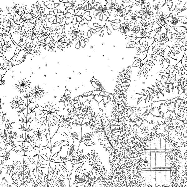 Forest coloring book