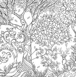 Forest coloring pages printable for free download