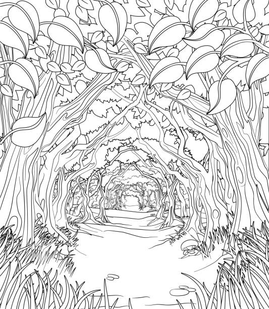 Woodland forest trees path coloring book scene stock illustration