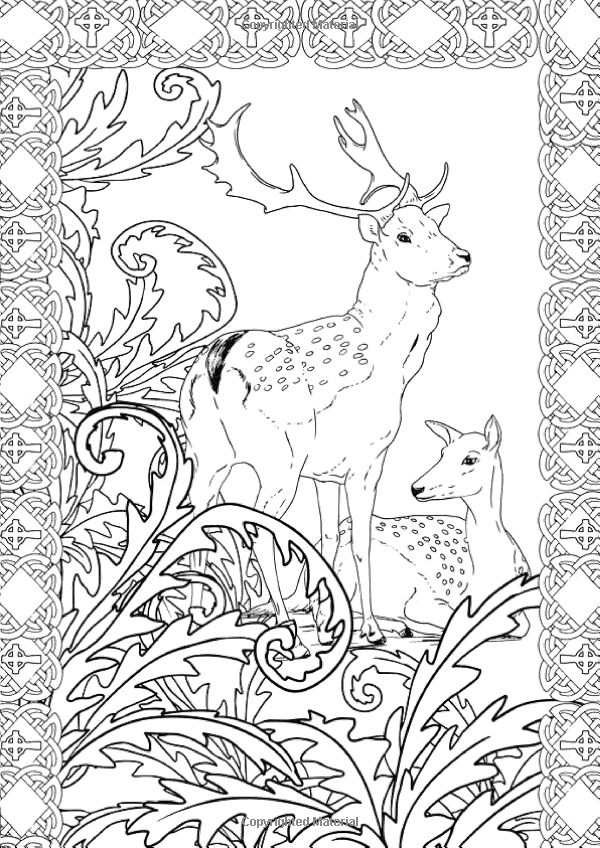 Art therapy the enchanted forest designs colouring in and relaxation marthe mulkey â horse coloring pages animal coloring pages coloring pages