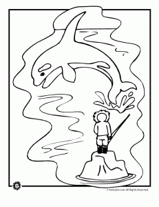 Whale coloring pages animal jr