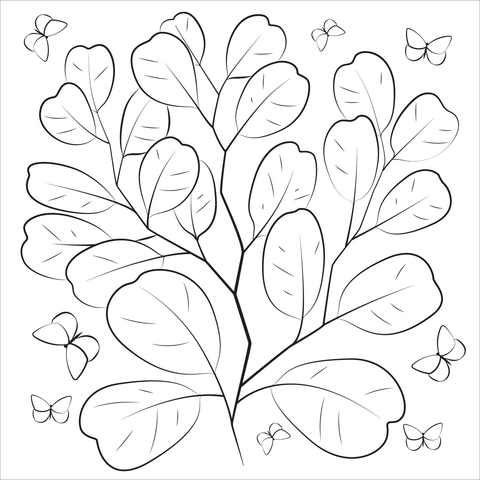 Eucalyptus coloring page free printable coloring pages