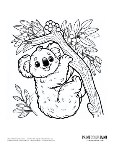 Free cute koala coloring pages clipart printables at