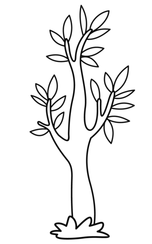 Eucalyptus coloring page free printable coloring pages