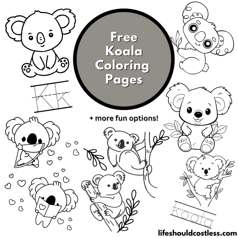 Koala coloring pages free printabe pdf templates