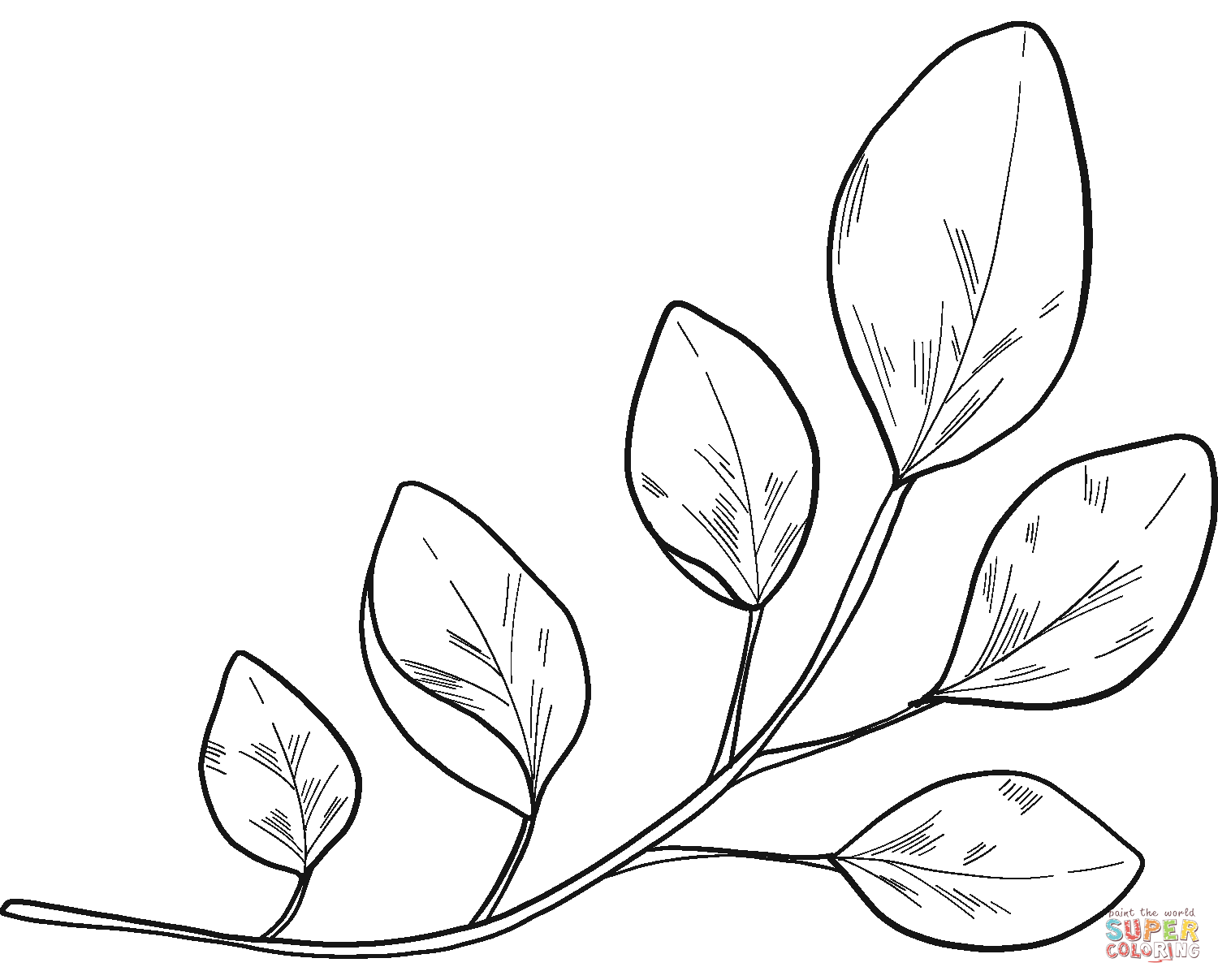 Eucalyptus branch coloring page free printable coloring pages