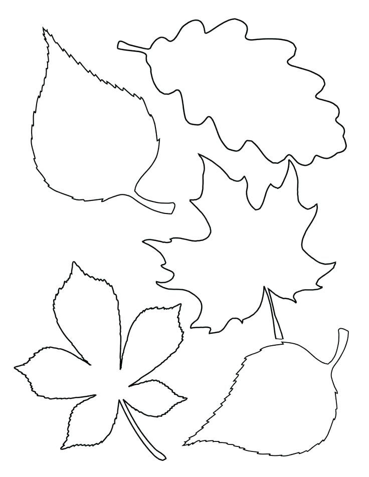 Leaf coloring pages free pdf download