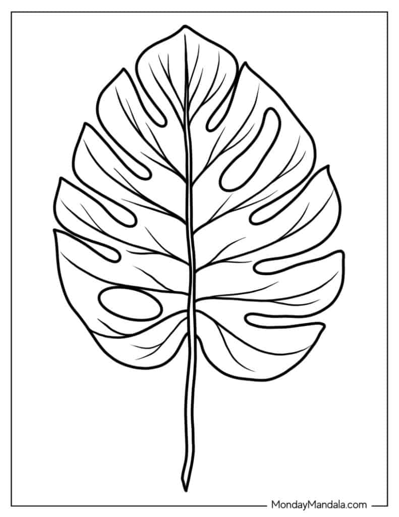 Leaf coloring pages free pdf printables