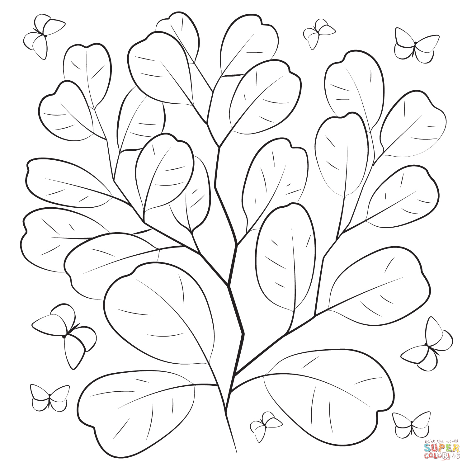 Eucalyptus coloring page free printable coloring pages